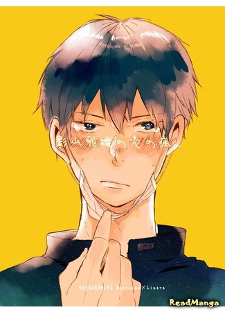 манга Любовная Лихорадка  Кагеямы Тобио (Haikyuu!! dj - Kageyama Tobio&#39;s Love Sickness: Haikyuu!! dj - Kageyama Tobio no koi no yamai) 11.08.14