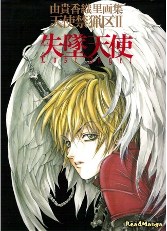 манга Angel Sanctuary: Lost Angel [ARTBOOK] (Обитель ангелов: Потерянный Ангел [АРТБУК]: Tenshi Kinryouku: Sittsui Tenshi) 25.11.17