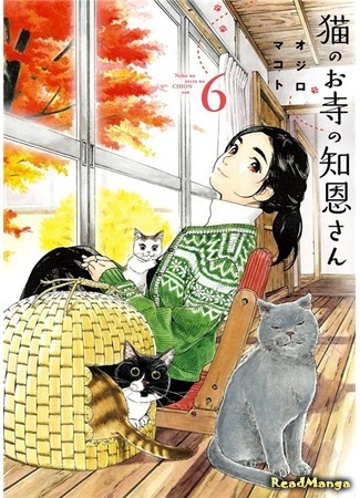 манга Cat Temple&#39;s Miss Chion (Кошачий храм Тион-сан: Neko no Otera no Chion-san) 17.06.18