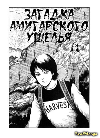 манга Загадка Амигарского ущелья (The Enigma of Amigara Fault: Gyo) 12.01.21