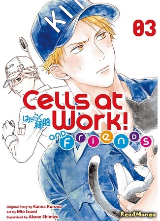 манга Клетки за работой: Друг (Cells at Work and Friends!: Hataraku Saibou Friend) 16.03.21