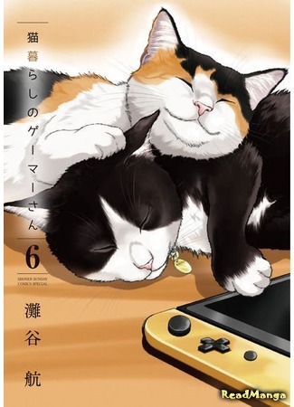 манга A Gamer Living With a Cat (Будни геймерши и кошки: Neko Gurashi Gamer-san) 18.04.21